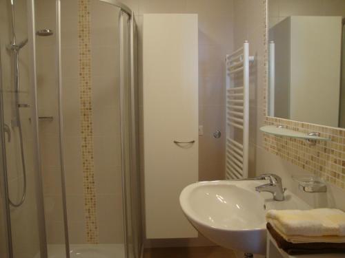 W łazience znajduje się umywalka i przeszklony prysznic. w obiekcie Thalerhof w mieście Percha