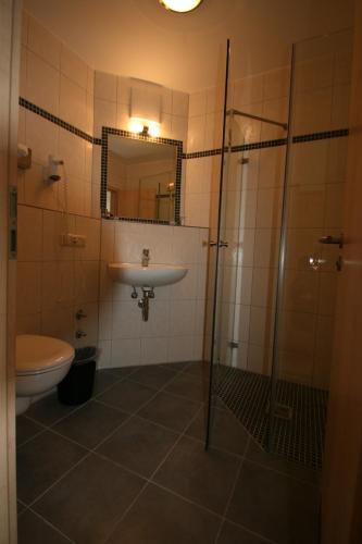 a bathroom with a sink and a shower and a toilet at Hotel-Cafe Hanfstingl in Egling