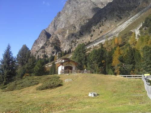 una casa en la cima de una colina con una oveja en Apart Alpinea, en Landeck