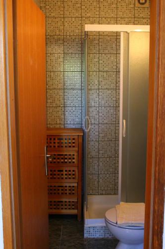 a bathroom with a toilet and a shower at Pension Tamaris in Sveta Nedelja