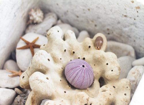 a small teddy bear with a purple ball of yarn at Apartments Laura in Korčula