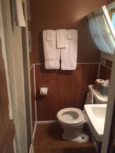 a bathroom with a toilet and a sink and towels at Amber Lantern One-Bedroom Cottage in Lake George