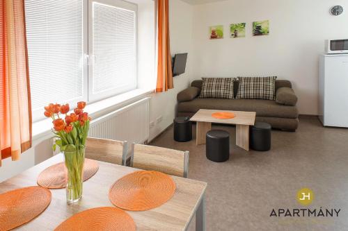 Setusvæði á Apartmány Jindřichův Hradec