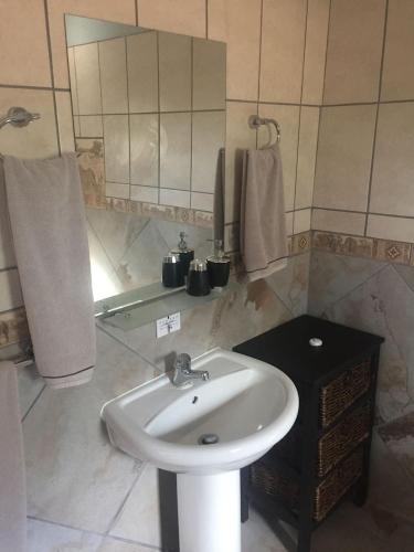 a bathroom with a sink and a mirror at Baobab Lane Lodge in Marnitz