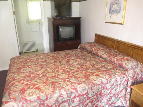 Postel nebo postele na pokoji v ubytování Pinecrest Motel