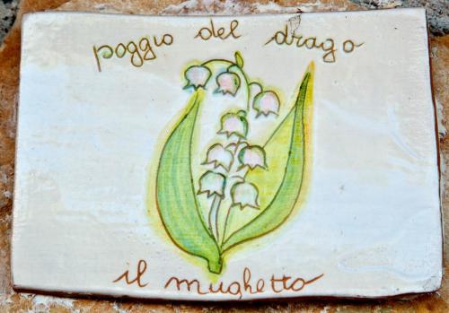 Φωτογραφία από το άλμπουμ του Agriturismo Poggio del Drago σε Montemerano