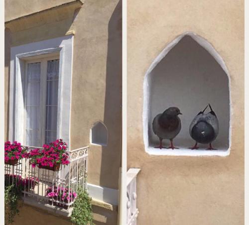 Φωτογραφία από το άλμπουμ του Casa 28 σε Canosa di Puglia
