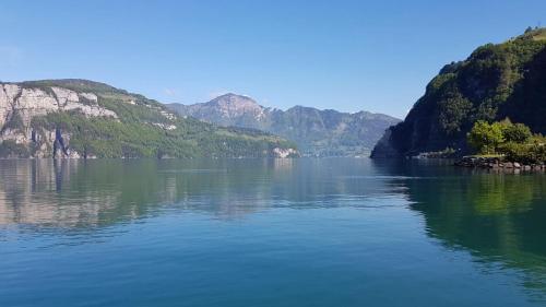 a large body of water with mountains in the background at Hotel Sternen in Sisikon