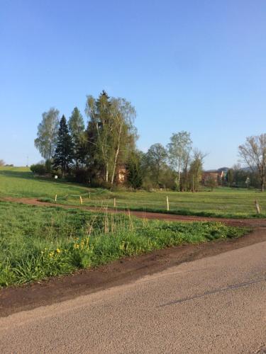 a road next to a field of grass with trees at VilaEva Adršpach Broumovsko in Ruprechtice