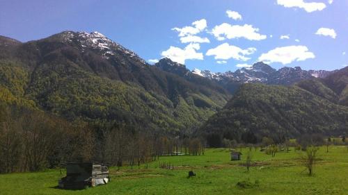 a green field with mountains in the background at Albergo Diffuso Dolomiti in Forni di Sotto