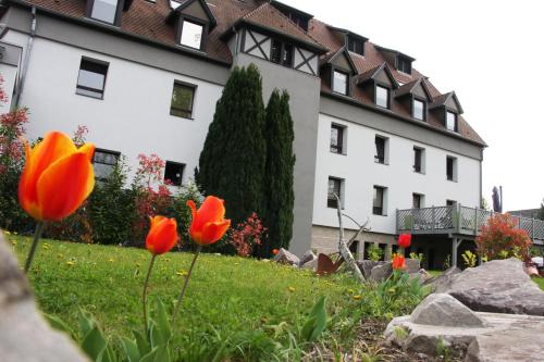 a building with orange flowers in front of a yard at Hôtel Restaurant Les Alizés in Lipsheim