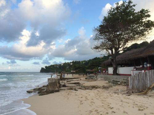 a sandy beach with a tree and the ocean at I VIEW - in Long Bay in Long Bay Village