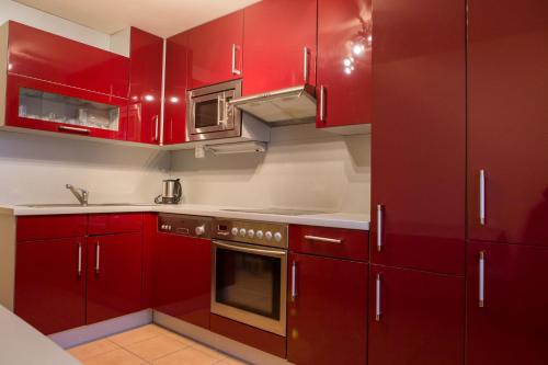 kuchnia z czerwonymi szafkami i zlewem w obiekcie Relax na Morave w mieście Němčičky