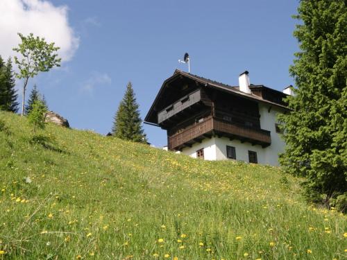 a house on the side of a grassy hill at Apartment on the Sonnenalpe in Nassfeld in Schlanitzen