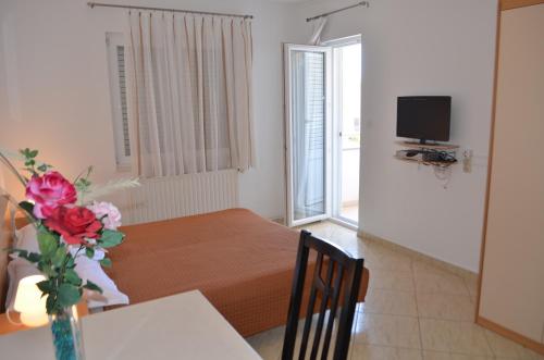 Apartman Darica Vid