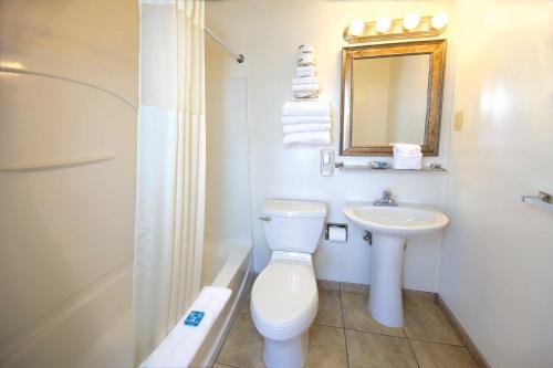 a bathroom with a toilet and a sink and a mirror at Seabonay Oceanfront Motel in Ocean City