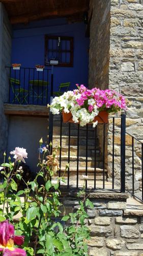 Κήπος έξω από το Apartamentos La Borda Castillon