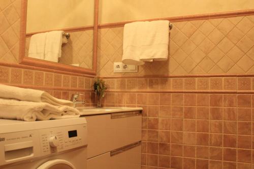 y baño con lavadora y lavamanos. en Apartamentos Los Rosales de Isabel en Corral de Ayllón