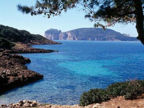 a view of a large body of water at Alma di Alghero Apartments in Alghero