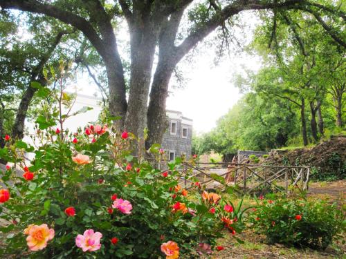 a tree with flowers in front of a fence at Boscoscuro in Ragalna