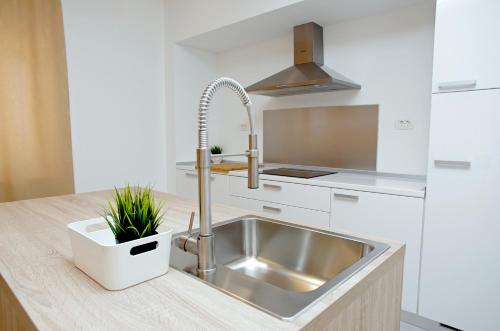Kuchyňa alebo kuchynka v ubytovaní Besker Apartment