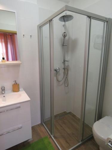a shower in a bathroom with a sink and a toilet at Vila Mozara in Slano