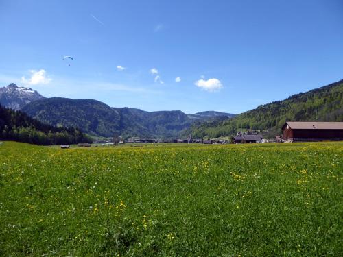 a field of green grass with mountains in the background at Gästehaus Appartements Egender in Bezau