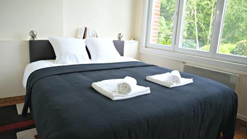 ein Schlafzimmer mit einem Bett mit zwei Handtüchern darauf in der Unterkunft Little Suite - Colas in Lille