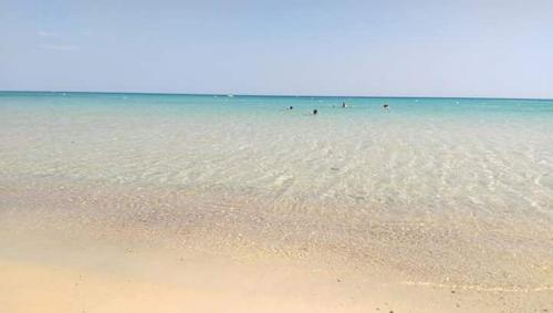 Le lagon de Hammamet