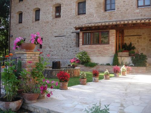 a bunch of potted plants in front of a building at Font del Pas in Beceite