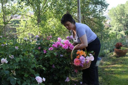 a woman holding a basket of flowers in a garden at Font del Pas in Beceite