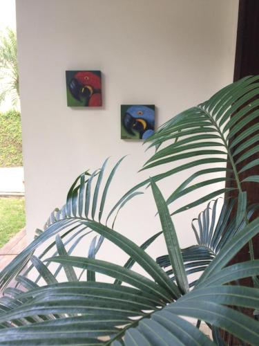 three paintings on a wall with a plant at Ecopousada Miriti in Belém