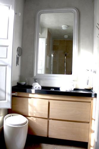 La salle de bains est pourvue de toilettes et d'un grand miroir. dans l'établissement Domaine Regis Freres, à Vidauban