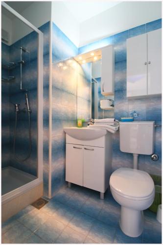 a bathroom with a toilet and a sink and a shower at Apartmani- Šjor -Primošten-Apartmani- has 2 large apartments and 2 smaller ones -Primošten Lokvice 6 in Primošten