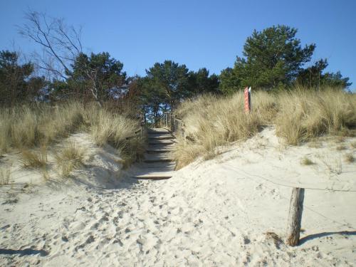 a stairway leading to a sandy beach with tall grass at Strandburg, das smarte Penthouse in ÜckeRitz mit PKW Stellplatz! in Ueckeritz