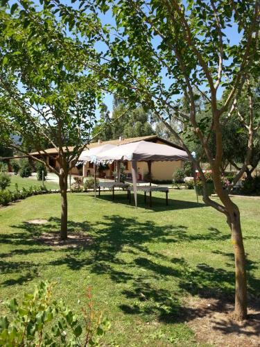 a picnic area with a tent and two trees at Agriturismo Monte Majore in Siliqua