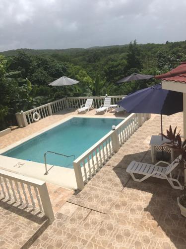 a swimming pool with chairs and umbrellas on a patio at Retreat Guest House in Falmouth