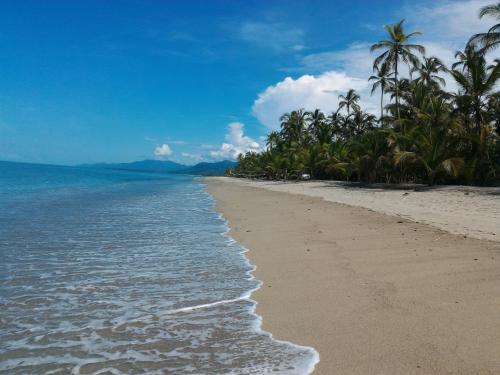 a sandy beach with palm trees and the ocean at Playa Pikua Ecolodge in Guachaca