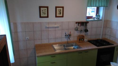 eine Küche mit einer Spüle und einer Arbeitsplatte in der Unterkunft Bakina kućica - Grandma's cottage in Gospić