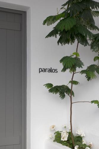 a plant in a pot in front of a building at Bellou Suites in Mýkonos City
