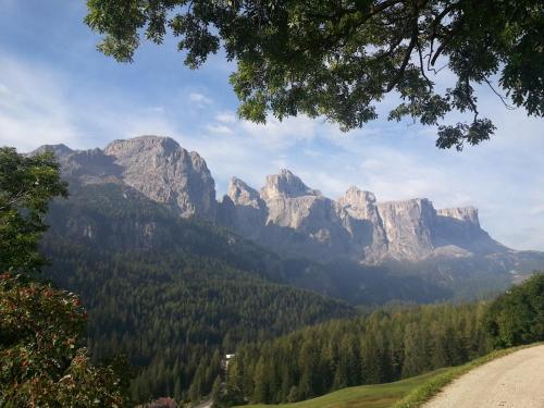 a view of a mountain range with trees and a road at Alpin Relais B&B Villa Melisse in Colfosco