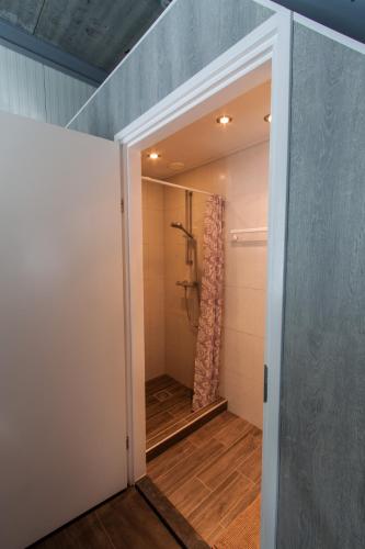 a walk in shower in a bathroom with a door at Holiday Home Odoorn in Odoorn