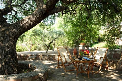 a table and two chairs under a tree at Delfinia Hotel & Bungalows in Mithymna