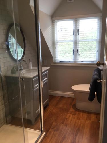 a bathroom with a shower and a toilet and a window at Field Cottage B&B in Haywards Heath