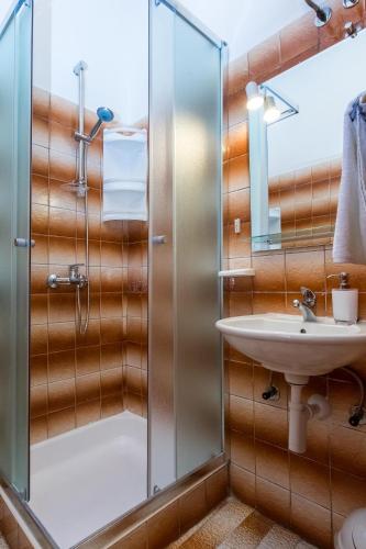 a bathroom with a shower and a sink at Villa Veca in Starigrad