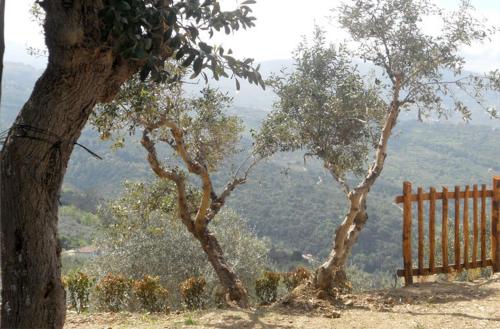 Φυσικό τοπίο κοντά σε αυτή η εξοχική κατοικία