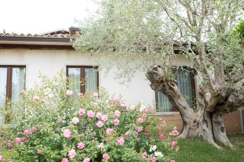 a tree in front of a house with pink roses at Agriturismo Il Granaio Hotel & SPA in Modica