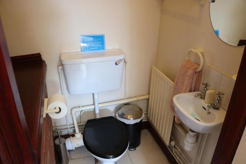 a small bathroom with a toilet and a sink at Bank Top Farm Cottages in Stoke on Trent