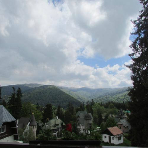 a view of a town with mountains in the background at Hotel Marea Neagra in Sinaia
