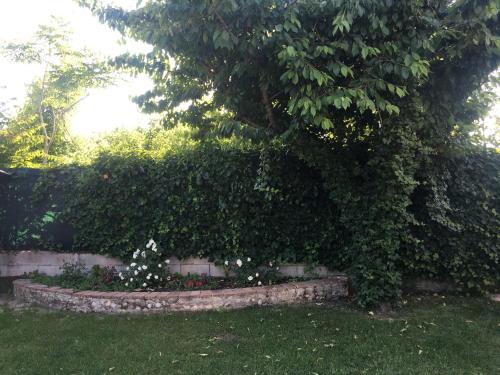 Ca' Le Rose – Photos 3